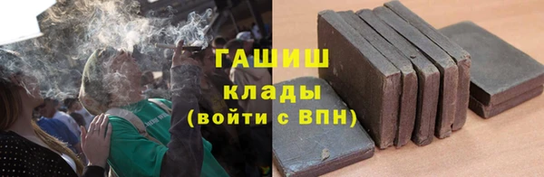 стаф Володарск