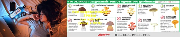 мдма Волоколамск