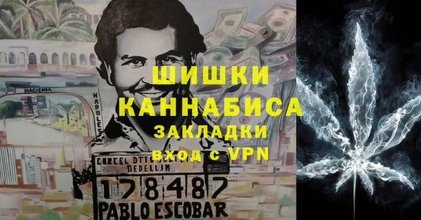 стаф Володарск